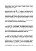 Referāts 'Reklāmas teksti "Bite Latvija" 2009.gada drukāto mediju reklāmās', 14.