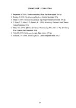 Referāts 'Reklāmas teksti "Bite Latvija" 2009.gada drukāto mediju reklāmās', 19.