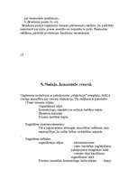 Biznesa plāns 'SIA "Estere"', 12.