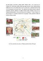 Konspekts 'Pilsētu zaļumu zonu saglabāšana', 5.