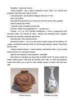 Konspekts 'Senā Ķīna', 6.