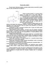 Referāts 'Lielbritānija', 19.