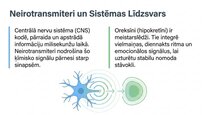 Prezentācija 'Oreksīni', 2.
