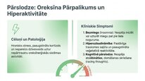 Prezentācija 'Oreksīni', 9.