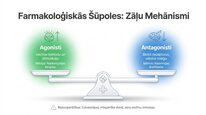Prezentācija 'Oreksīni', 17.