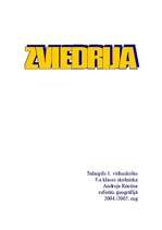 Referāts 'Zviedrija', 1.