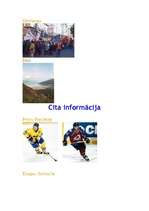 Referāts 'Zviedrija', 14.