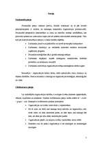 Referāts 'Gadījuma studija par SIA Latvija Statoil', 3.