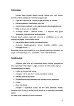 Referāts 'Gadījuma studija par SIA Latvija Statoil', 4.