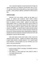 Referāts 'Gadījuma studija par SIA Latvija Statoil', 7.