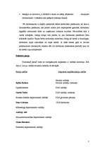 Referāts 'Gadījuma studija par SIA Latvija Statoil', 8.