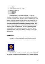 Referāts 'Gadījuma studija par SIA Latvija Statoil', 10.
