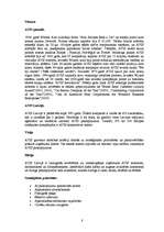 Referāts 'Autonomas „Budget” un „Avis” salīdzināšana', 8.