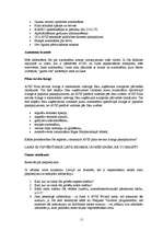 Referāts 'Autonomas „Budget” un „Avis” salīdzināšana', 11.