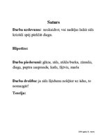 Paraugs 'Sāls kristālu audzēšana', 2.