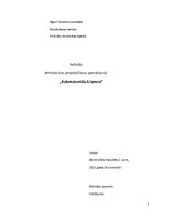 Referāts 'Kokmateriālu kāpnes', 1.