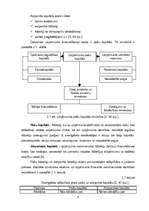 Referāts 'Uzņēmuma finansēšanas avoti', 6.