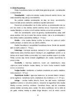 Referāts 'Uzņēmuma finansēšanas avoti', 10.