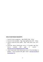 Referāts 'Uzņēmuma finansēšanas avoti', 15.