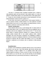 Referāts 'Mārketingu tieši ietekmējošās ārējās vides ietekme uz uzņēmumu SIA "X"', 11.