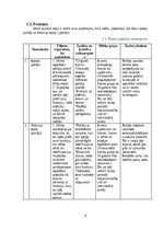 Biznesa plāns 'Biznesa plāns “Paklāju un grīdsegu ražošana”', 4.