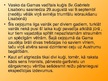 Prezentācija 'Bartolomeo Diaša, Vasko da Gamas un Fernāna Magelāna jūras braucieni', 10.