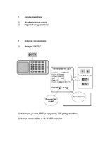 Paraugs 'Atskaite par Gmdss (STR-8400)', 3.