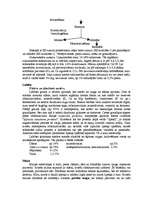 Konspekts 'Ogļhidrātus saturoši produkti', 2.