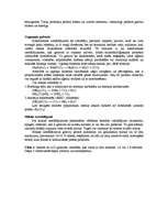 Konspekts 'Ogļhidrātus saturoši produkti', 4.