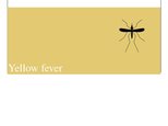 Prezentācija 'Yellow Fever', 1.