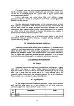 Biznesa plāns 'Biznesa plāns', 12.