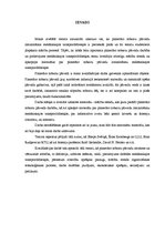 Referāts 'Planetāro zobratu pārvadu izmantošana mehāniskajos transportlīdzekļos', 6.