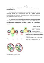Referāts 'Planetāro zobratu pārvadu izmantošana mehāniskajos transportlīdzekļos', 10.