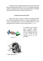 Referāts 'Planetāro zobratu pārvadu izmantošana mehāniskajos transportlīdzekļos', 11.
