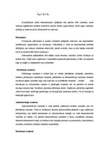 Referāts 'Planetāro zobratu pārvadu izmantošana mehāniskajos transportlīdzekļos', 38.