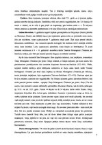 Referāts 'Japāņu dzejas formas haiku vēsture un attīstība', 6.