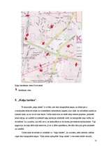 Referāts 'Klaiņojošie dzīvnieki Rīgā', 18.