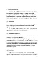 Biznesa plāns 'Uzņēmuma izveides plāns', 5.