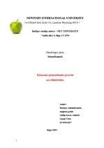 Referāts 'Lēmumu pieņemšanas process un efektivitāte', 1.