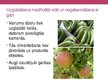 Prezentācija 'Vielas augļu un dārzeņu uzglabāšanai', 4.