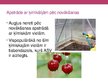 Prezentācija 'Vielas augļu un dārzeņu uzglabāšanai', 5.
