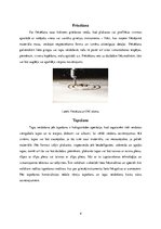 Referāts 'Noslēdzošā apstrāde. Pirmā daļa', 4.