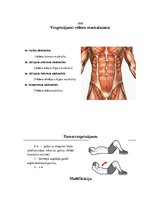 Konspekts 'Aerobika. Vingrinājums un tā modifikācija', 2.
