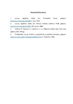 Konspekts 'Ārstniecības iestādes darbības uzsākšanas pamatprasības', 13.