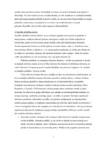 Referāts 'Altruisma un heroisma faktors sociālajā uzvedībā', 7.