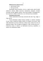 Referāts 'Keramisko/stiegrbetona pārsedžu nestspējas analīze', 6.