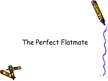 Prezentācija 'The Perfect Flatmate', 1.