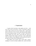 Referāts 'Infografiku izmantošana laikrakstos "Ir" un "The Economist", salīdzinošā analīze', 9.