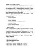 Konspekts 'Stratēģiskās kontroles sistēmas izveidošana', 2.