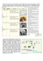 Konspekts 'Konspekts bioloģijā - 3.grāmata', 2.